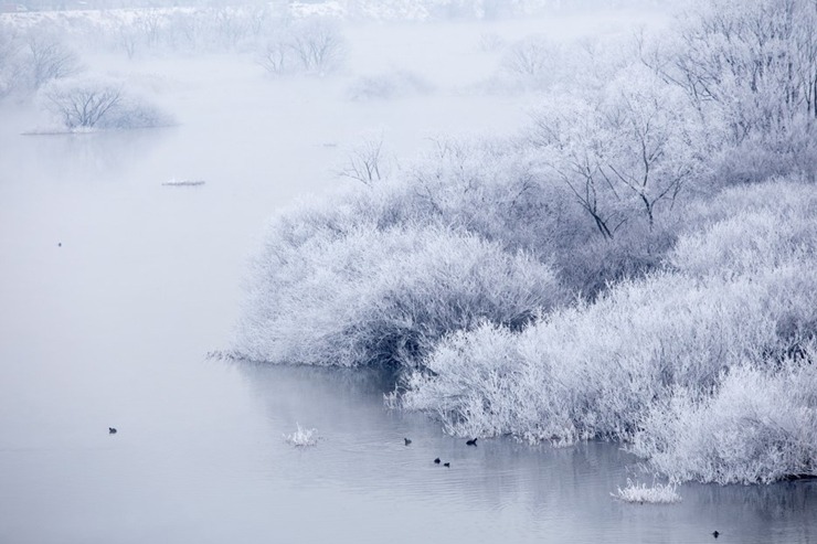 겨울의 자연이 그리는 동양화 - 상고대