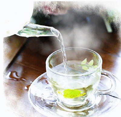 ◆질병에 따른 한방 차(茶)