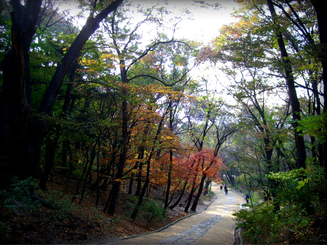 1114AF234AF5B9EF145BE6