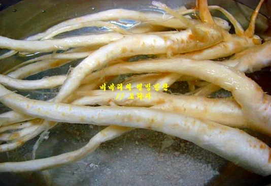 감기예방에 효과 도라지반찬 5가지