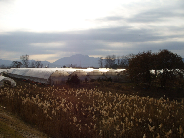 춘천 의암호의 상중도[上中島] 한바퀴 돌기
