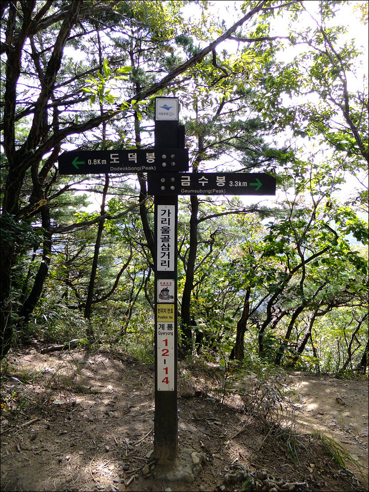 진잠초등학교 이미지