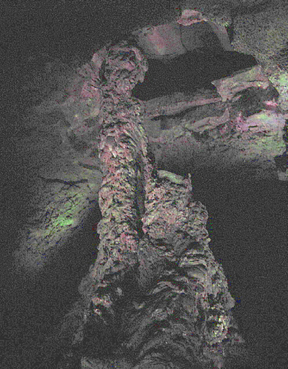 이미지 전체보기