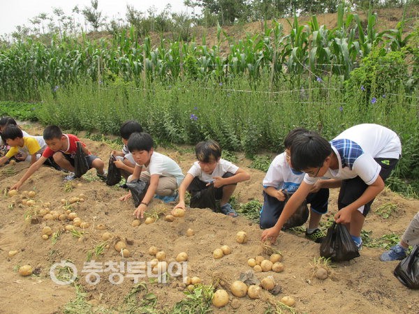연동초등학교 이미지