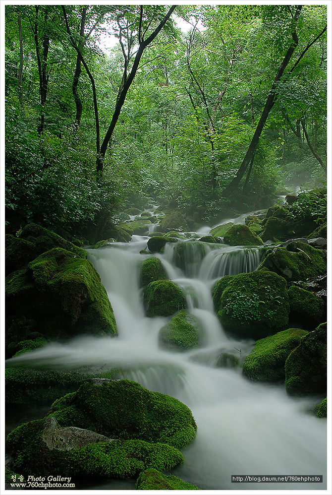 사라진 이끼계곡(2006.7.2)