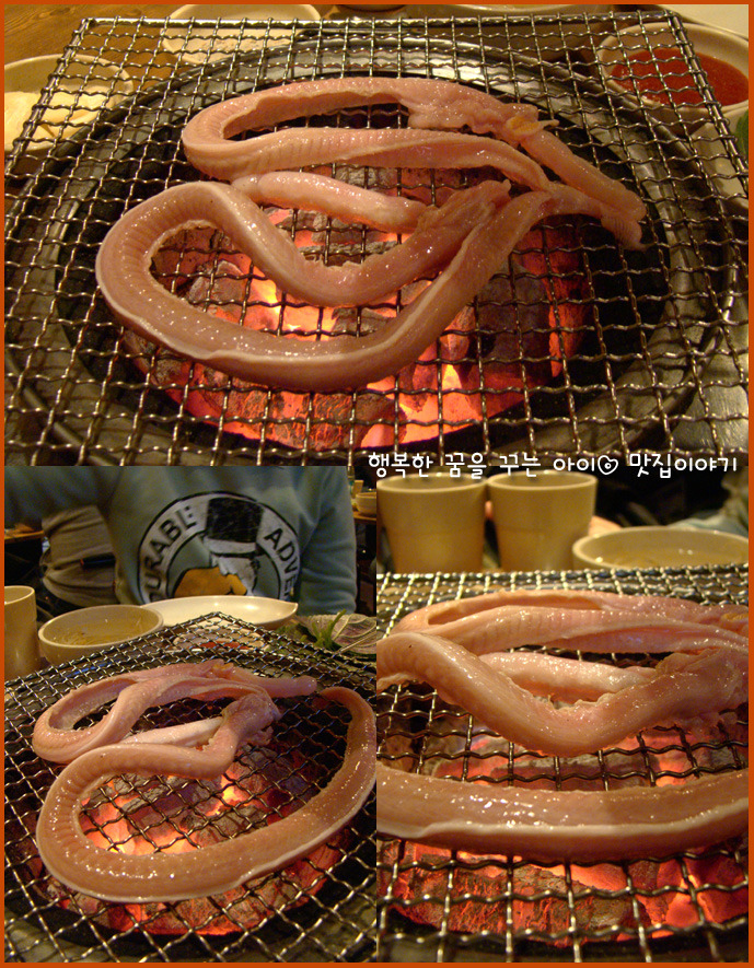 땡초꼼장어 이미지