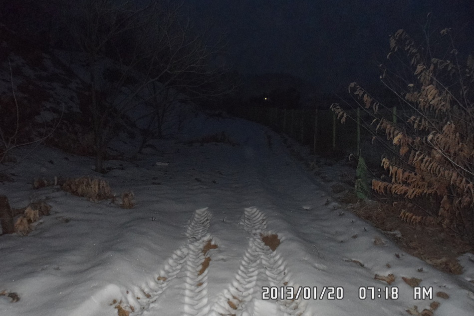 신새벽축산 이미지