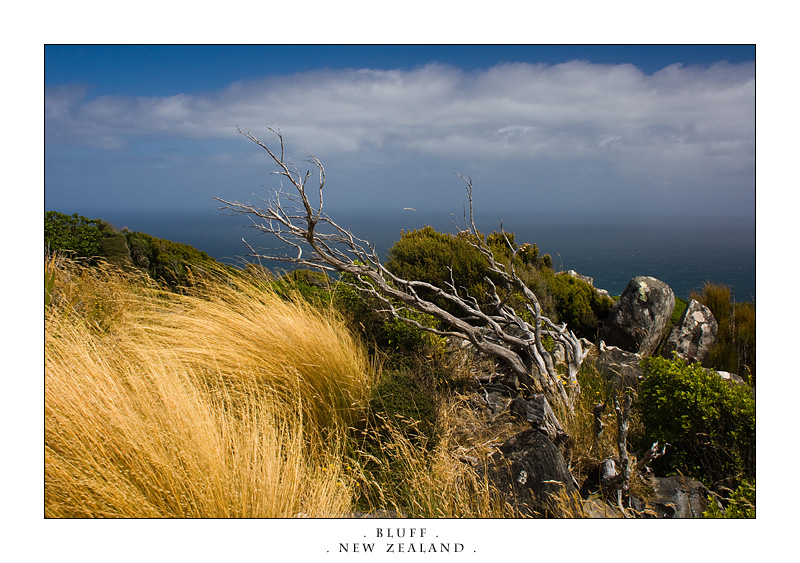 뉴질랜드 풍경1