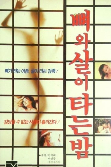 해솔 이미지