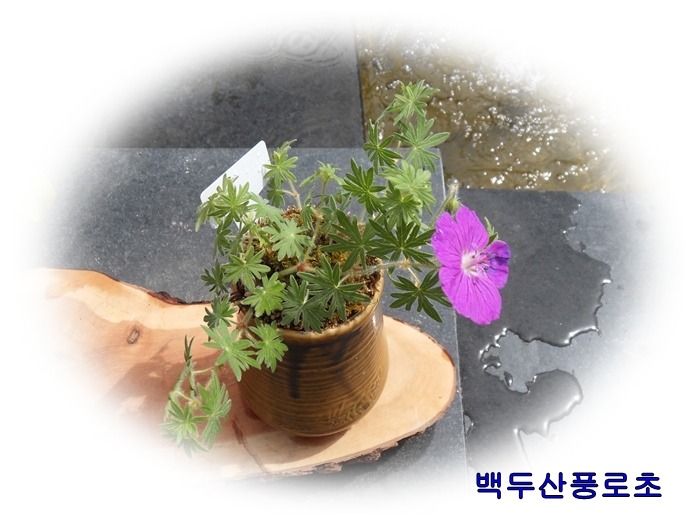 1442DB264BE9345739D67A