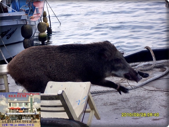 복바다횟집 이미지
