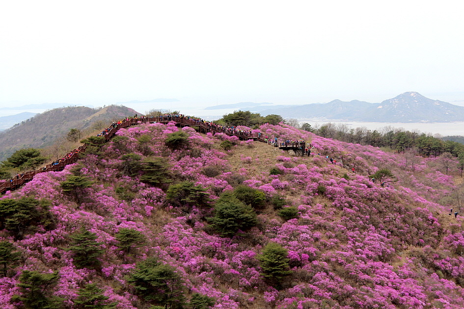 고려산 이미지