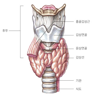 일취 이미지