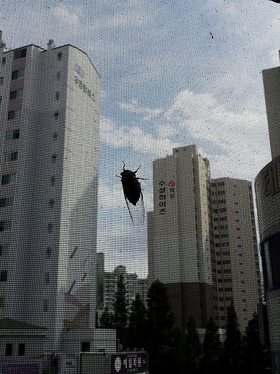 엄마방 이미지