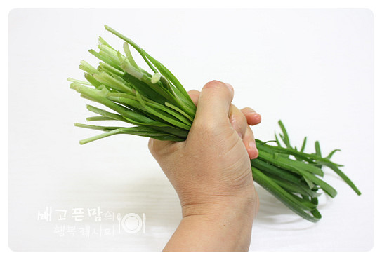 [부추 닭 국수]
