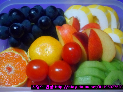 등산동호회 나선 남편기살린!야외용 김밥도시락세트>_