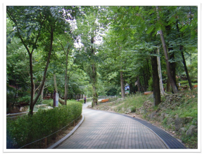 앞산으로 가는길 이미지