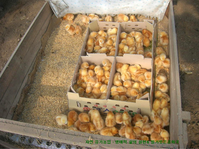 자연녹즙 이미지