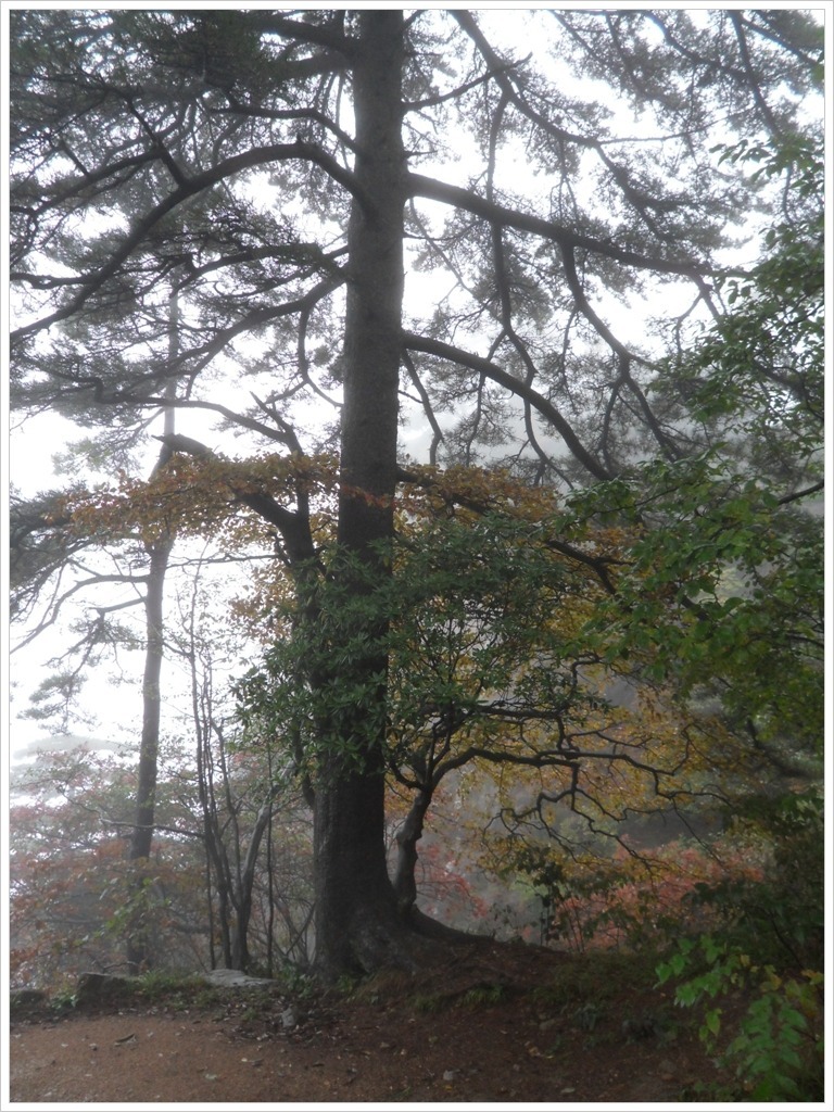 황산 트레킹을 마치며(10.10.13)