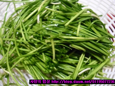 주말별미! 낙지볶음 만들려다 해물찜이 완성!>_