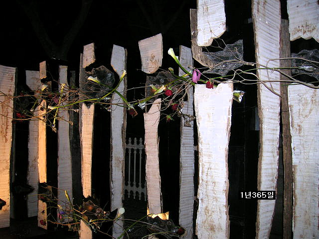 여의도 벗꽃 축제