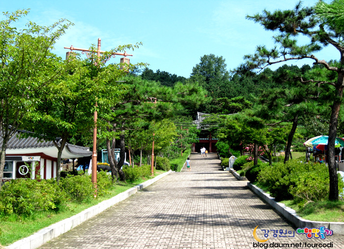 달빛 거북이 이미지