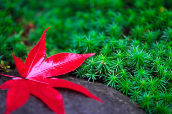 173CB84A505D3BAF18AD8B