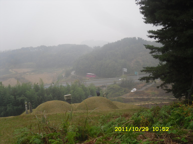176390414EABE8F52ACA50