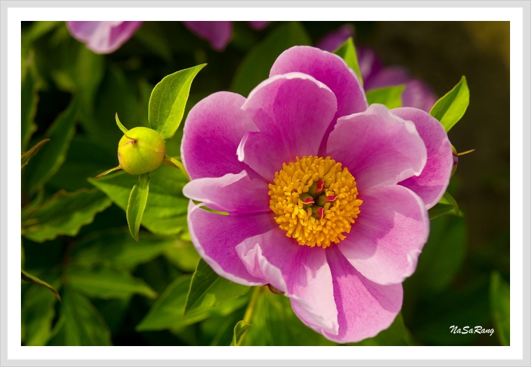 내가사랑하는사람아