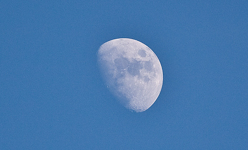 灰月