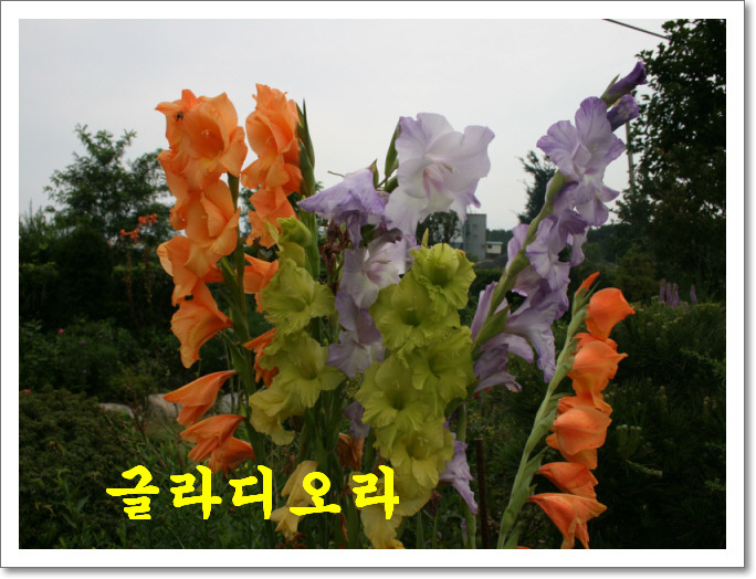 187F311F4A7E9A2BE79C8A