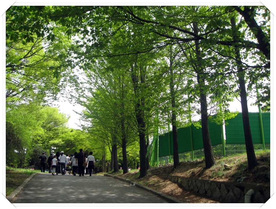 더블클릭을 하시면 이미지를 수정할 수 있습니다