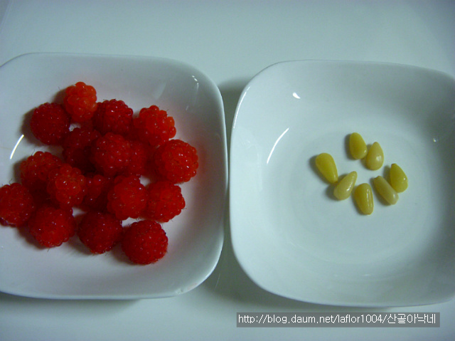 직접 딴 산딸기 맛있게 먹는 방법~~산딸기오미자화채!!~~*^^*