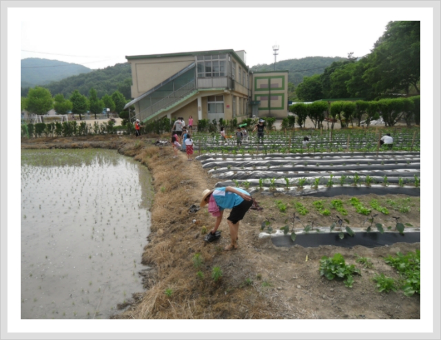 위례초등학교 이미지