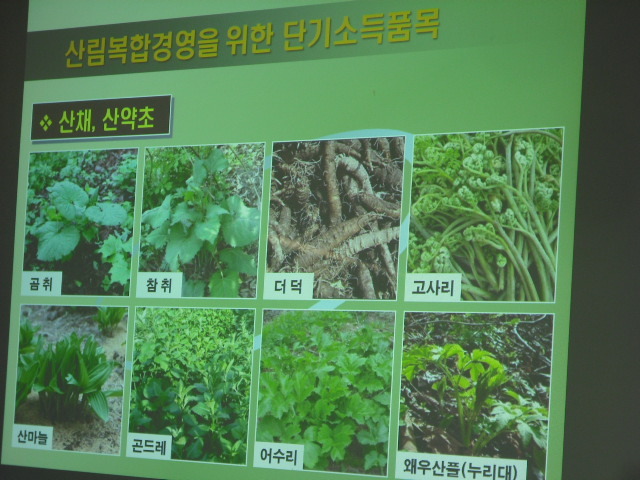 레이호 이미지