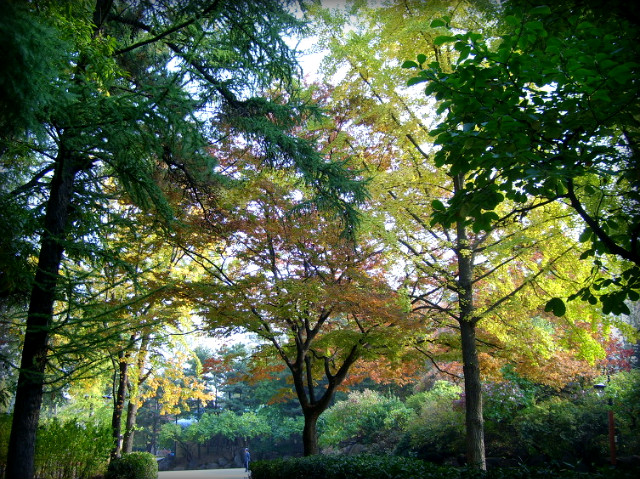 205782234AE563B73DDFCF