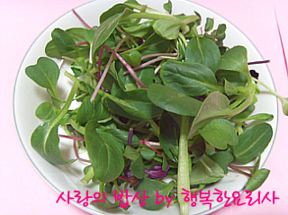 식탁에봄 이미지