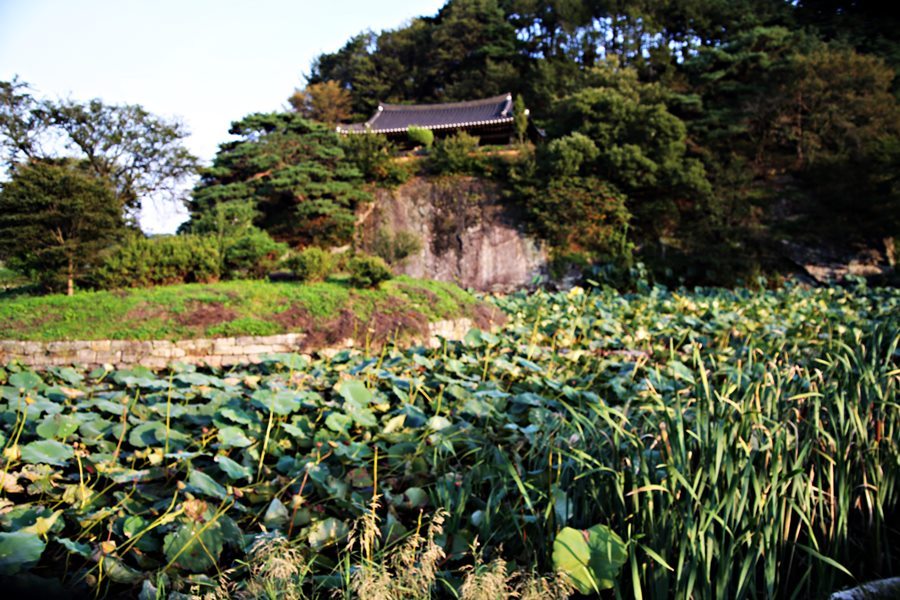 예천 병암정