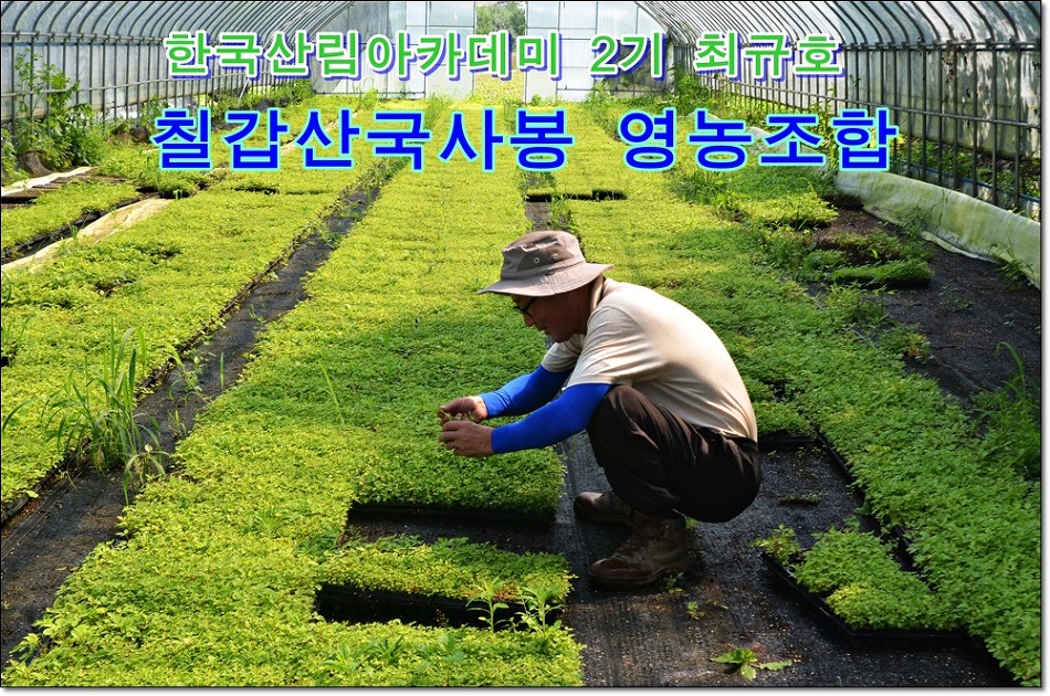 임업영농조합 이미지