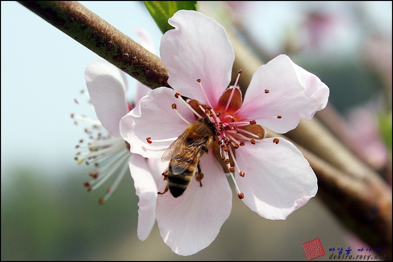 산뜰 이미지
