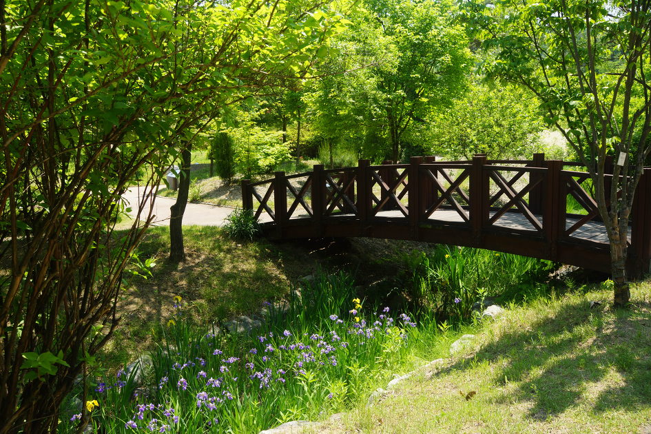 황학산수목원 이미지