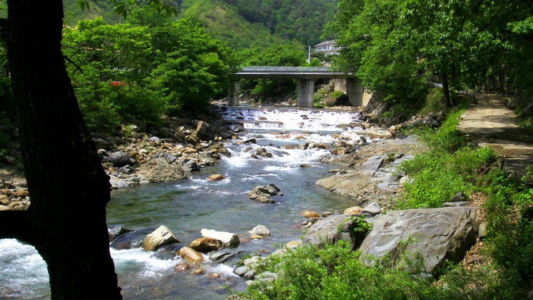 230D1544572DB1B434B220