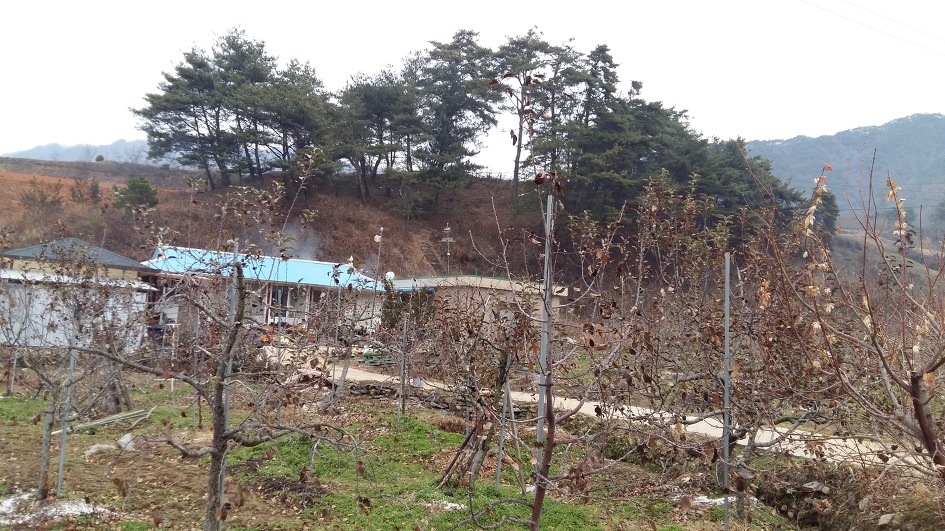 시골집 전경