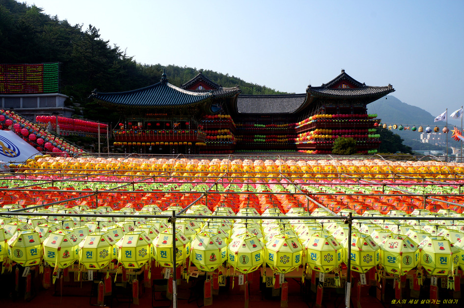 부산 삼광사 연등