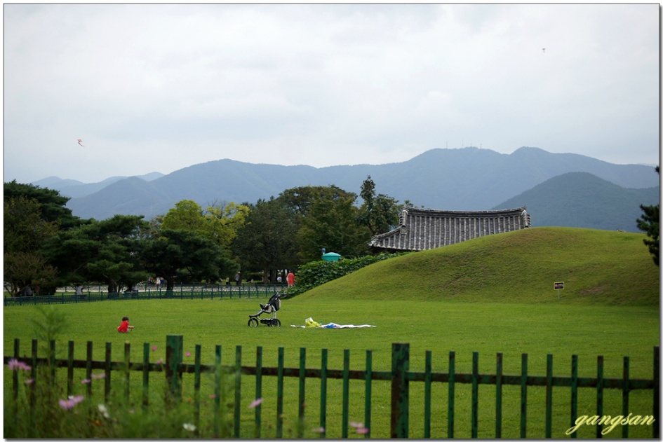 경주 동부사적지로의 산책 / 닥스훈트 요롱이 최고의 날