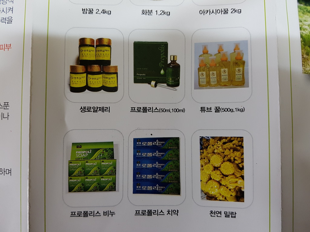 횡성새말양봉 아카시아꿀  할인