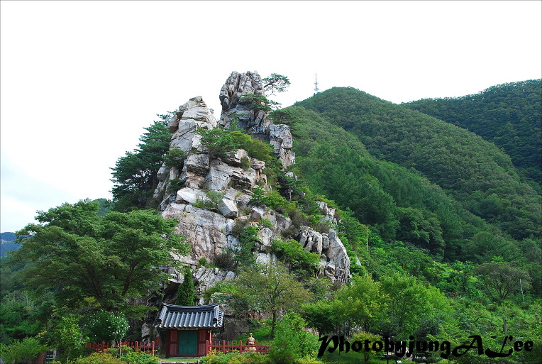 상동 장산 야영장 이미지