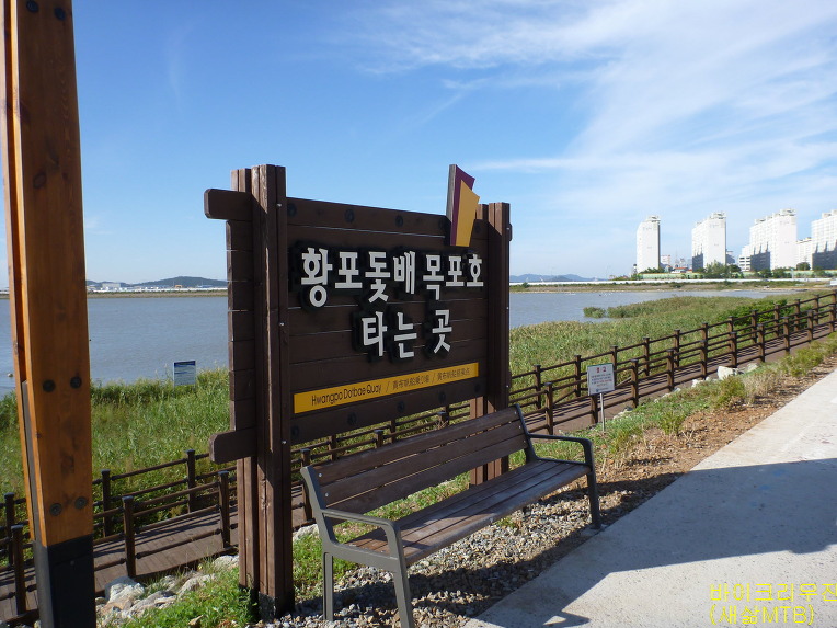 새삶 이미지
