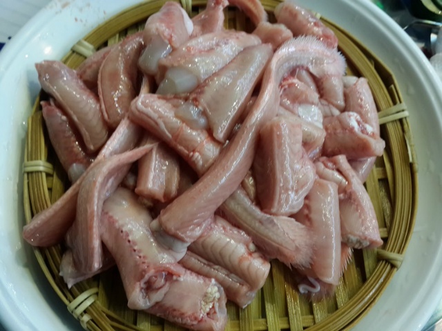 꼼지락꼼장어 이미지