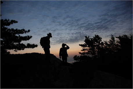 242A06425261CF191DF181